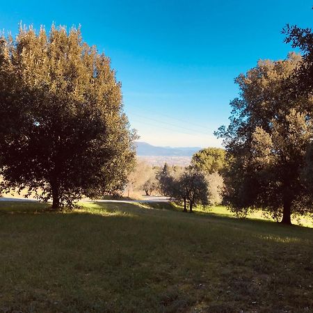Apartamento La Residenza Dei Piaceri Perduti- Le Volte Lastra a Signa Exterior foto