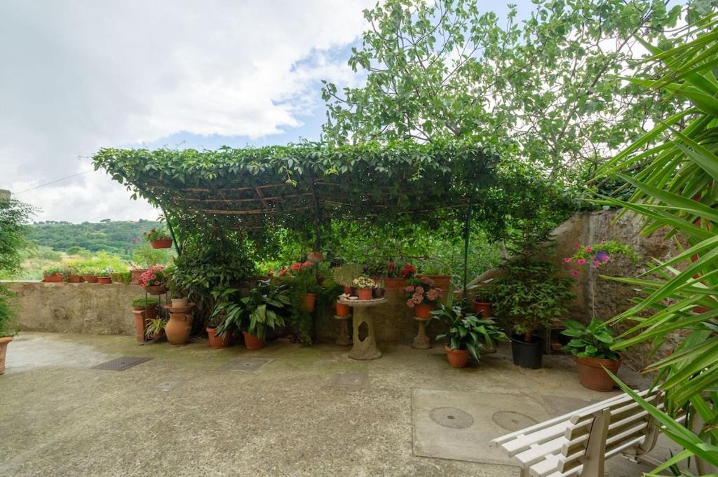 Apartamento La Residenza Dei Piaceri Perduti- Le Volte Lastra a Signa Exterior foto